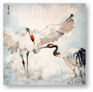 Winter cranes © Li Yu/Corbis